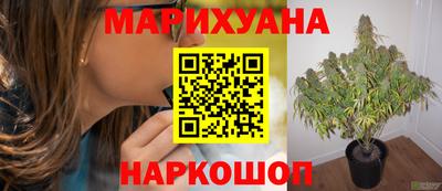 мдпв Донской