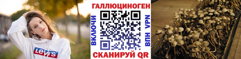 Галлюциногенные грибы Magic Shrooms  Камень-на-Оби 