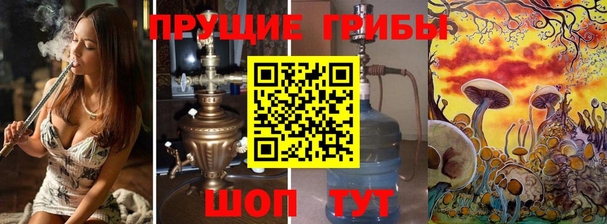 Псилоцибиновые грибы ЛСД  Псилоцибиновые грибы прущие грибы  Камень-на-Оби  Вход с VPN 